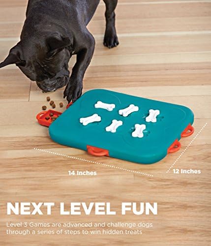 Outward Hound Nina Ottosson Dog Casino Interactive Treat Puzzle Dog Toy, Advanced