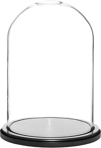 Miniatura 3 de Plymor 8" x 12" Pantalla de cristal Dome Cloche (base de chapa de roble)