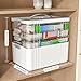 ARSTPEOE 4-Tier Medicine Organizer - Portable Medicine Cabinet with Plastic Handle, Multipurpose Medical Box, Empty First Aid Kit for Home