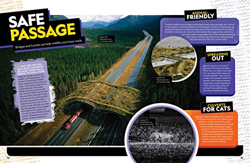 The Ultimate Book of Big Cats: Your guide to the secret lives of these fierce, fabulous felines (National Geographic Kids) - Image 5