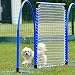 SPORTIKEL24 Hoopers Hoop – wetterfest, VDH-konform & farbig – mit Stecksystem für sicheres Hundetraining – aus robustem Kunststoff – Flexibler Hundesport-Reifen mit Stecksystem – Blau/Gelb