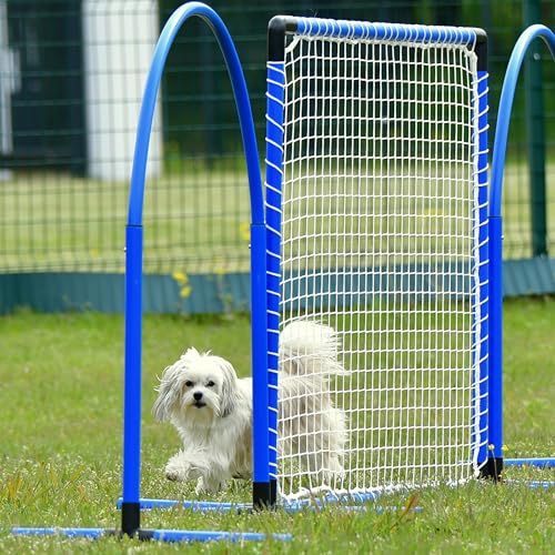 SPORTIKEL24 Hoopers Hoop – wetterfest, VDH-konform & farbig – mit Stecksystem für sicheres Hundetraining – aus robustem Kunststoff – Flexibler Hundesport-Reifen mit Stecksystem – Blau/Gelb