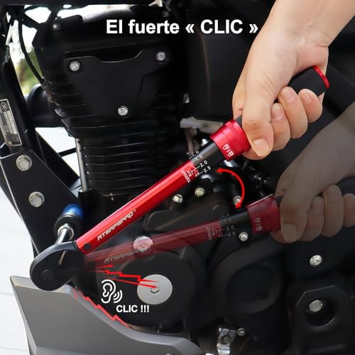 Miniatura 6 de 