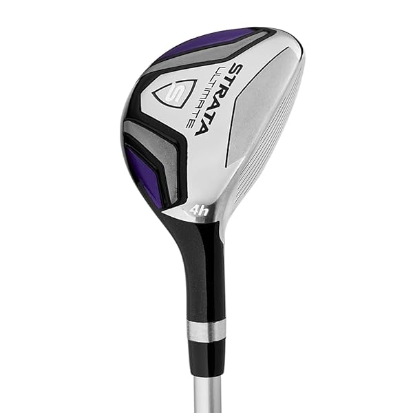 Strata 2019 Strata Ultimate 16-Piece Complete Set by Strata - Image 6