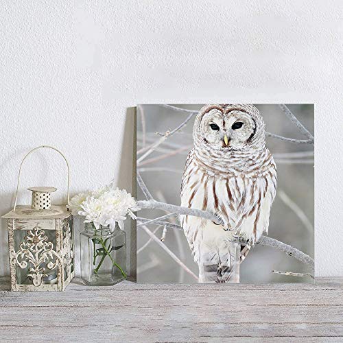 Flouky Modern Canvas Wall Art Square Art Painting For Bedroon Living Room Bathroom,The Owl On Branch Winter Landscape Artworks Home Decor,Framed,Ready To Hang,12 X 12 Inch #TOP3
