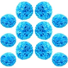 Ruidee 12 Pieces Tissue Paper Pompoms 10in and 12in Hanging Tissue Flowers Decorations Colour Paper Flower Ball Paper Flowers Pom Poms for Party Wedding Decoration ZH/Sky Blue