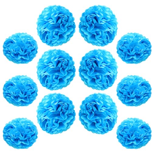 Ruidee 12 Pieces Tissue Paper Pompoms 10in and 12in Hanging Tissue Flowers Decorations Colour Paper Flower Ball Paper Flowers Pom Poms for Party Wedding Decoration (ZH/Sky Blue)