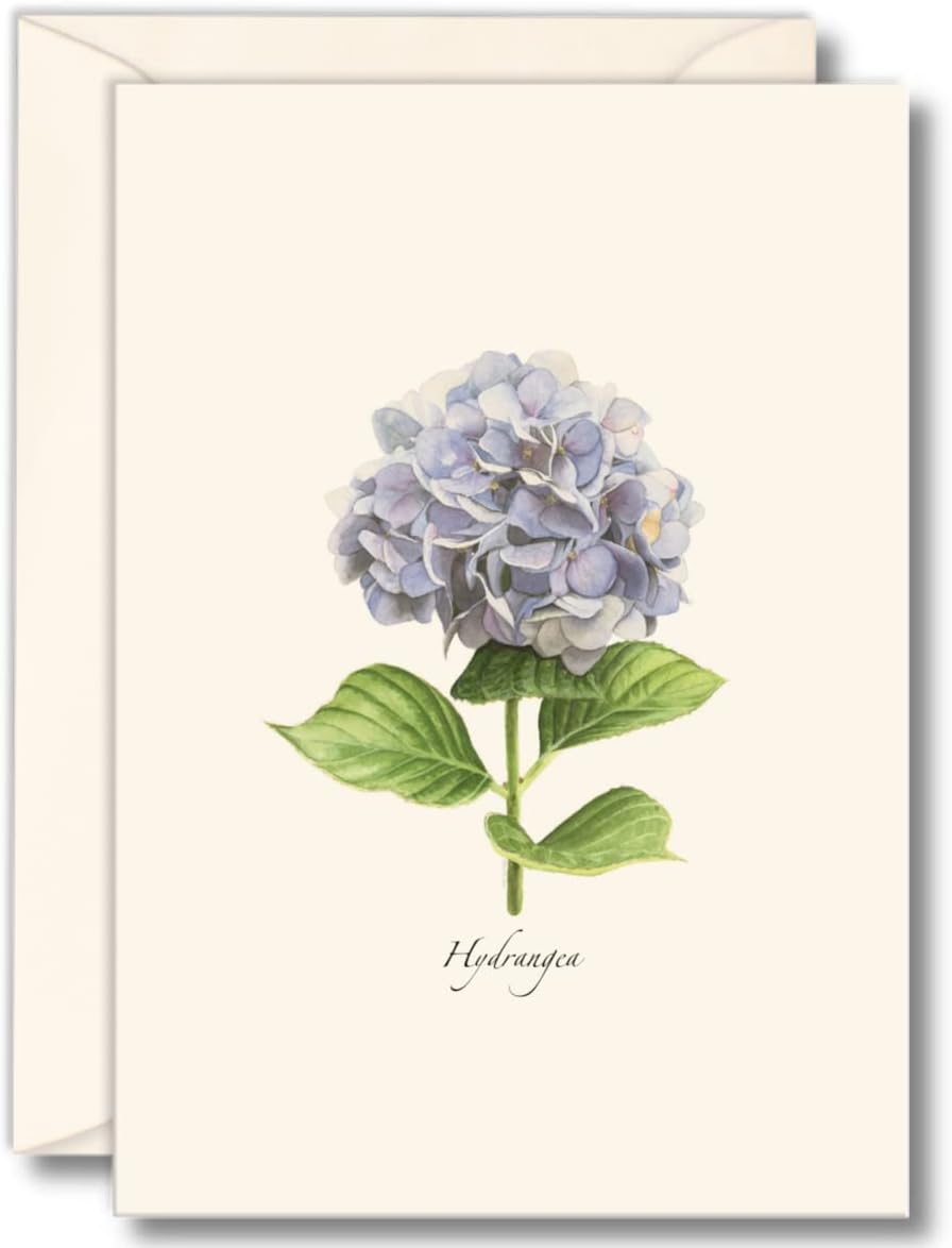 Earth Sky + Water - Hydrangea Notecard Set - 8 Blank Cards with Envelopes