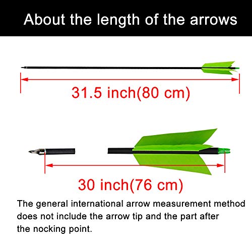 Ameyxgs 12 Pcs Archery Hunting Arrows Mix Carbon 30 Inch Flu Flu Arrows Spine 500 Target Practice Arrows With 4 Turkey Feather Replaceable Arrowhead For Outdoor Hunting Shooting(Green) #TOP2