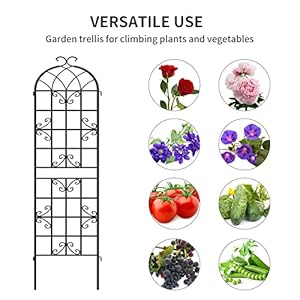 YITAHOME Garden Trellis Garden Fencing for Climbing Plants 4 Pack Decorative Plant Trellis Vegetables and Flower Trellis for Outdoor Patio-19.7×86.6 inches YITAHOME Garden Trellis Garden Fencing for Climbing Plants 4 Pack Decorative Plant Trellis Vegetables and Flower Trellis for Outdoor Patio 197866 inches