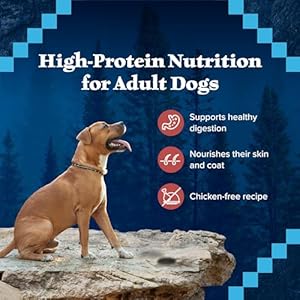 Blue Buffalo Wilderness Rocky Mountain Recipe High Protein, Natural Adult Wet Dog Food, Red Meat 12.5-oz cans (Pack of 12)