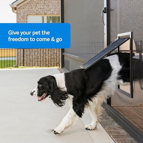 PetSafe Katzentür für Fliegengittertür – Größe S – für kleine Hunde und Katzen bis zu 13,6 kg – Verwendung in Fliegengittertüren – Fensterblenden und Veranda-Bildschirmen