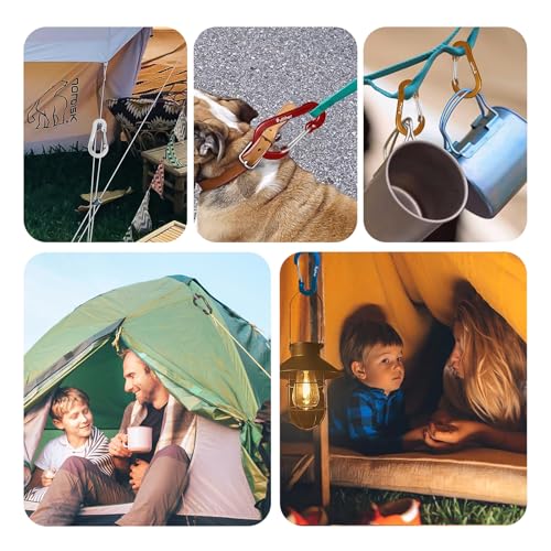 pullther 20 Stück Karabinerhaken, 50mm/1.96’’ Karabinerhaken Klein, Aluminium D-Ring Karabiner Schlüsselanhänger für Outdoor Sport, Wandern, Camping, Angeln - Mehrfarbig