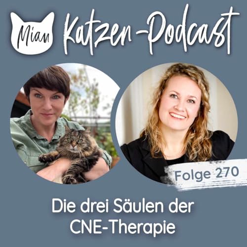 Die drei S&auml;ulen der CNE-Therapie bei der Katze | MKP270