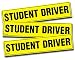 Zento Deals Magnetic "Student Driver" Bumper Sticker 12 X 3 X 0.1 Inches (Pack of 3)