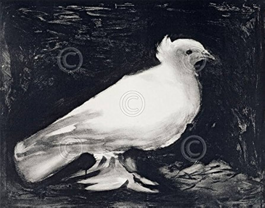 Amazon.com: Paloma 1949 por Pablo Picasso Animal pájaro