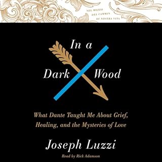 In A Dark Wood Audiolibro Por Joseph Luzzi arte de portada