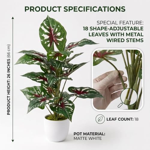 Image of Dekorly Artificial Caladium Plant Tree with White Pot 26 Inches | 66CM- Realistic Faux Leaf Plant for Home Decor, Bedroom, Living Room & Office (White Doted Caladium |Pack of One)