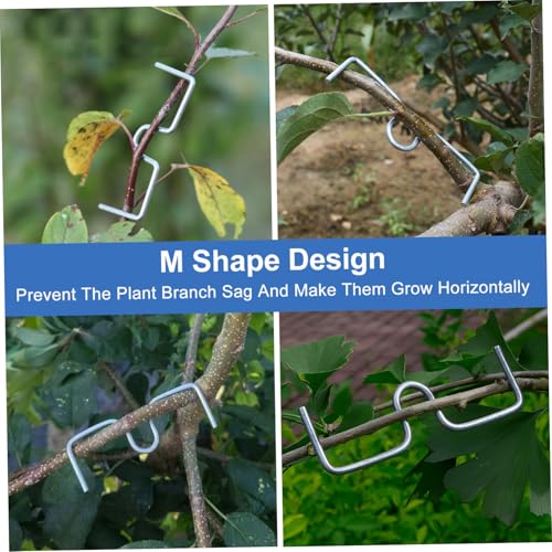 Modérateurs de branches fruitières POPETPOP : clips de modélisation et support plante 10 cm - 4
