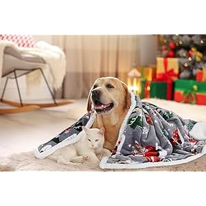 Catalonia Christmas Sherpa Throw Blanket Xmas Theme Throws Plush Fleece Couch Blanket Super Soft Comfy Cozy Fluffy Warm 50×60 inchTruck