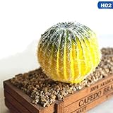 Enviamos internacionalmente TOMHY Las suculentas Artificial Planta de jardín en Miniatura Falso Cactus DIY Floral decoración de la Boda del jardín Oficina Planta Decorativa: H02