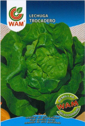 Semillas de Lechuga Trocadero (6 gr.)