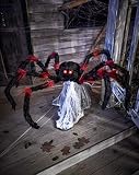 Spirit Halloween Jumping Spider