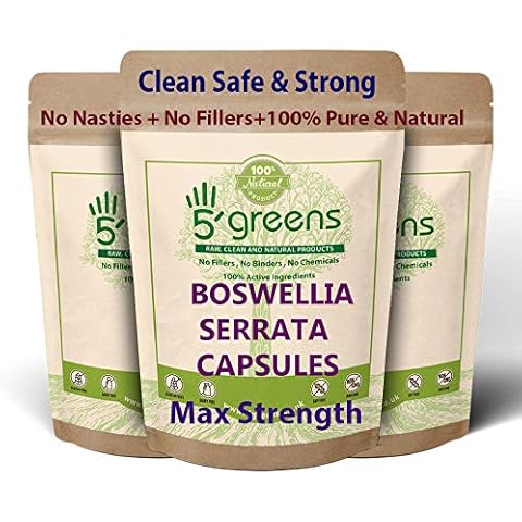 Boswellia Serrata Capsules 10:1 Extract (4600mg Equivalent) | Indian Frankincense | 120 Vegetarian Capsules, 4 Month Supply | Joint Care Supplement | Natural Anti INFLAMMATORY | 5greens (120) Cover