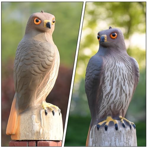 Aigle à queue rouge déco balcon pour éloigner les oiseaux de la maison - 6