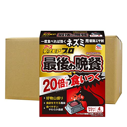 A[X fXAv Ō̔ӎ` g[^Cv i15g×4g[j×20