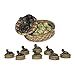 Sterling Industries 91-1797 Lucky Dog - Decorative Box - Set of 8, Gold Tone Finish