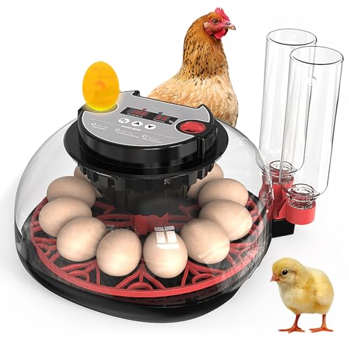 12 Huevos Incubadora de Huevos, Incubadoras de Huevos Automaticas Incubadora Huevos Gallina con Volteador de Huevos Iluminación LED Automática Control de Humedad y Monitor de Temperatura