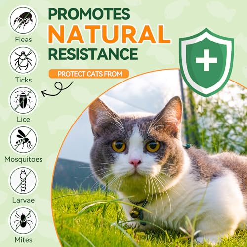 Flea-Treatment-for-Cats-200-Chews-Flea-and-Tick-Prevention-for-Cats-Chewables-Kitten-Flea-Treatment-Soft-Treats-for-All-Breeds-Ages-Natural-Cat-Flea-and-Tick-Treatment-Pills-Chicken-Flavor