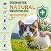 Flea and Tick Treatment for Cats - 200 Chews Flea and Tick Prevention for Cat Chewables - Flea Treatment for Cats All Breeds & Ages - Natural Cat Fleas and Ticks Defense - Chicken Flavor