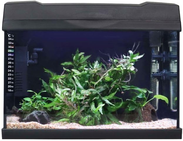 Swell 40cm Tropical LED Aquarium Kit 19L
