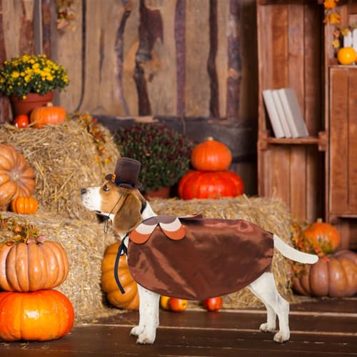 Scenereal Fall Dog Bandana Cloak And Hat Set,Thanksgiving Turkey Costume Clothes With Pumpkin Maple Leaf Pattern, Funny Puppy Holiday Costumes Outfits For Small Medium Dogs Boys Girls Cats thumb #1