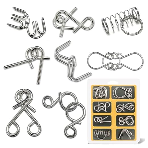 Steemjoey 8 PCS Rompicapo Metallo, Puzzle in Metallo, Giochi Rompicapo Gioco Intelligenza Giocattoli Educativi Metal IQ Puzzle Regalo per Adulti Bambini Adolescenti