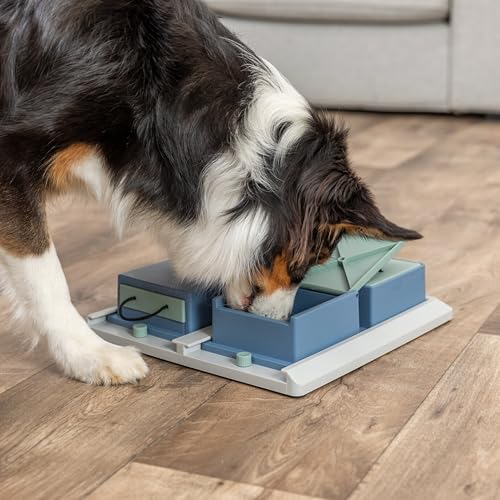 TRIXIE Poker Box 1 Hunde-Strategiespiel - Brettspiel mit 4 Spielelementen - unterschiedliche Herausforderungen - rutschfeste Gummifüße - Level 2 - spülmaschinenfest - erweiterbar - 31 × 31 cm - 32012