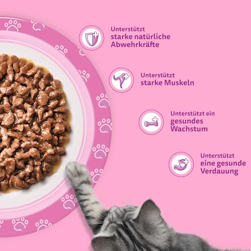 Whiskas Junior Katzennassfutter Klassische Auswahl in Sauce, 48 Portionsbeutel, 12x85g (4er Pack) – Hochwertiges Katzenfutter nass, für heranwachsende Katzen von 2 bis 12 Monaten