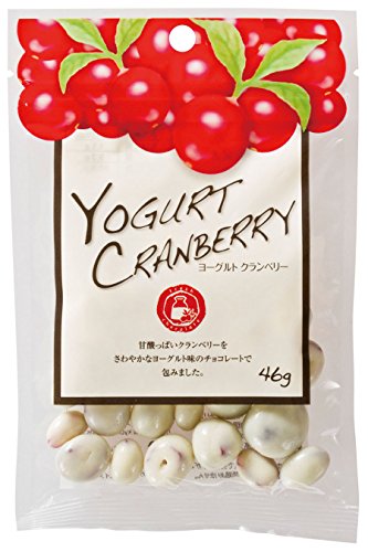 共立食品 ヨーグルトクランベリー 46g×10袋