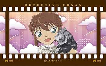 名探偵コナン コナン 灰原哀 灰原 哀 クリアファイル アニマルパーカー 猫耳 Amazon.co.jp: コナン 灰原哀 アニマルパーカー 猫耳 クリア