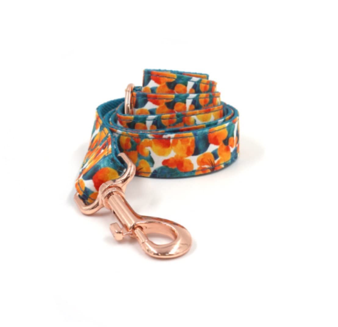 Correa Perro Correr Conjunto de Correa Cuello Mascota Oro Rosa Impreso Collar cómodo Suministros para Mascotas Perro Suave Antideslizantes Reforzada(23-30cm)