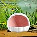 MC MEICHUANG Cute Betta Fish Tank Accessory Decorations Ceramic Conch Shell-Shaped House Aquarium Decor Thematic Ornament Hideout Cave for Shrimp Fish Playing or Hiding (Pink, Small with 50pcs Pearl)