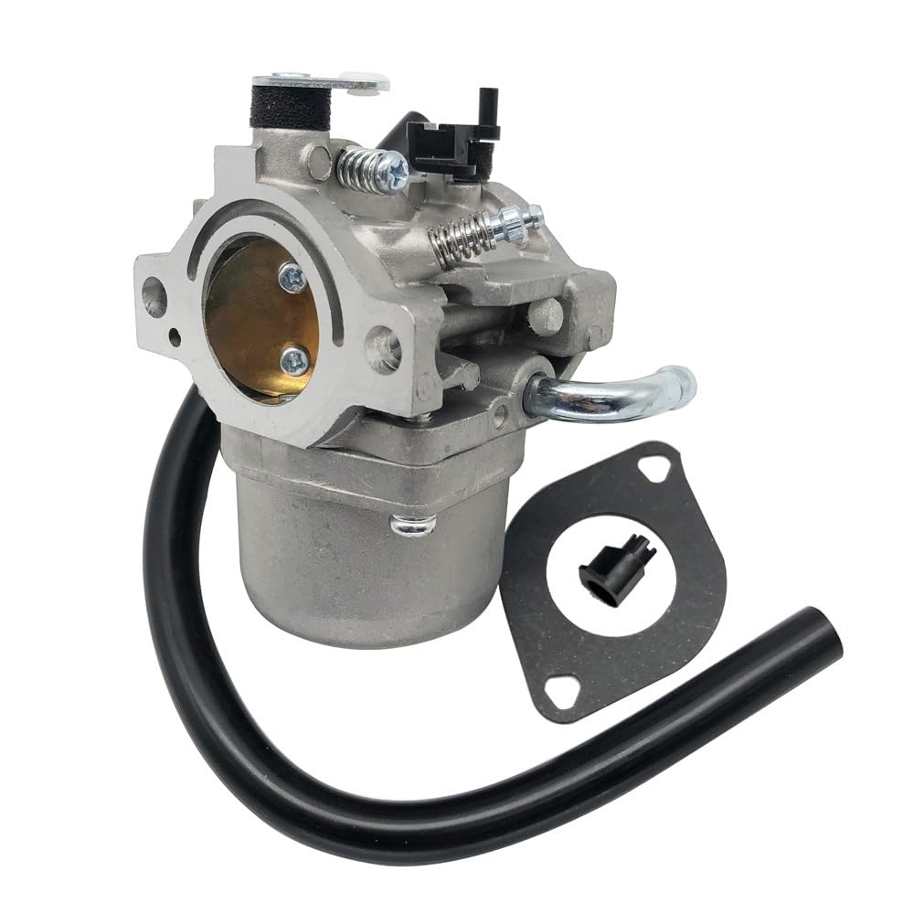 Amazon.com: [Replacement parts] Carburetor 796077 For Briggs and 