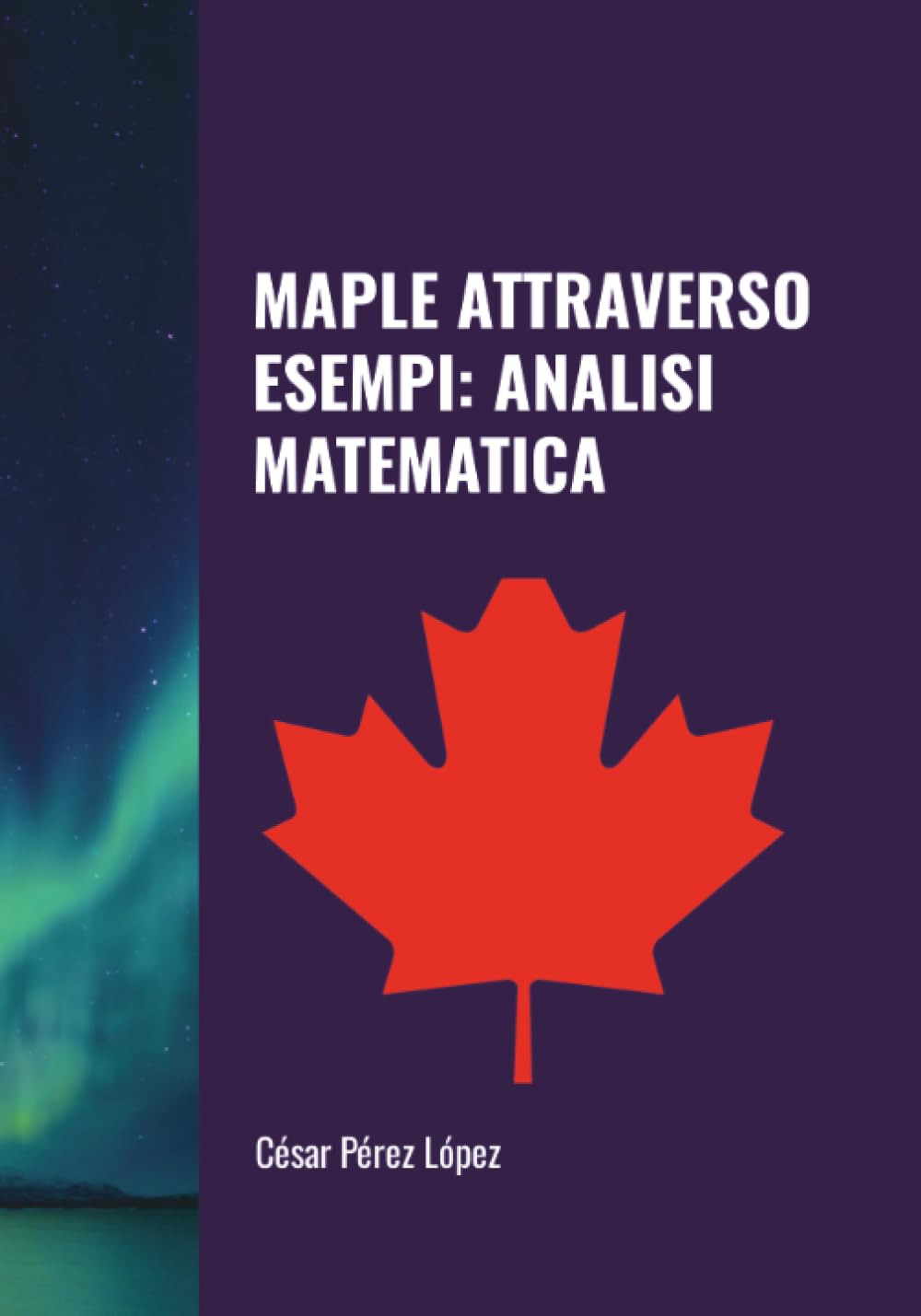 MAPLE ATTRAVERSO ESEMPI: ANALISI MATEMATICA
