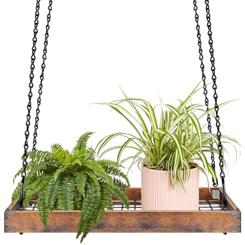 HENAYUK Blumenampel Blumentopf Hängend Mit Kette Hängetöpfe Blumenampel Hängend Innen Für Innen Außen Pflanzen Blume Decken Balkone HENAYUK Blumenampel Blumentopf Hängend Mit Kette Hängetöpfe Blumenampel Hängend Innen Für Innen Außen Pflanzen Blume Decken Balkone