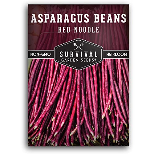 Red Yardlong Bean Seeds for Planting - Survival Garden Seeds (1 Pack)