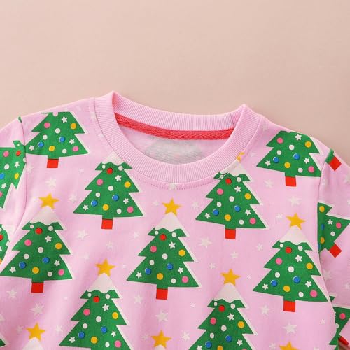 Image of Bumeex Girls Cotton Crewneck Cute Sweatshirts The Hedgehog and The Fox Pink 2-7T