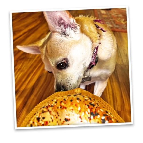 Image of Doggijuana Avocado Toast & Everything Bagel Dog Toy Bundle | 2 Pack | Refillable squeaky plush dog toy + organic calming catnip; eases anxiety, stress & storms; drug-free, hand-harvested
