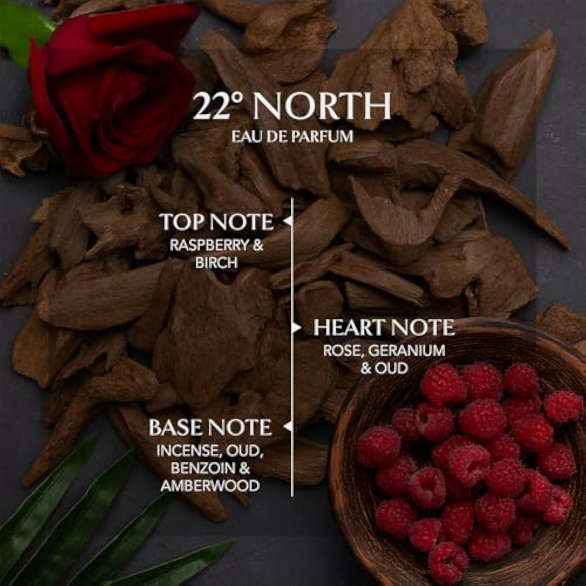 22? North EDP Luxury Perfume for Men 100ml